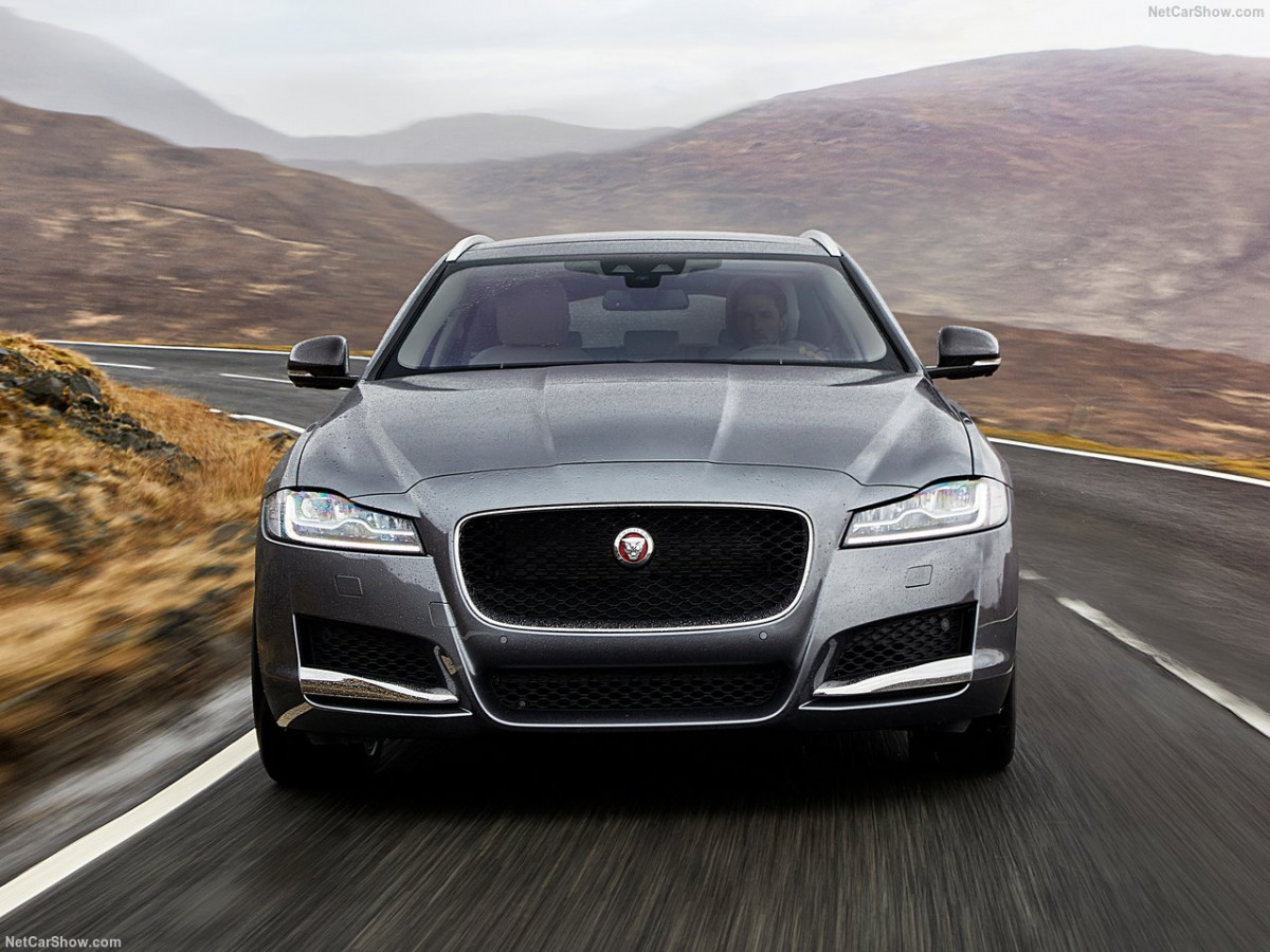 Jaguar XF Sportbrake фото 184706