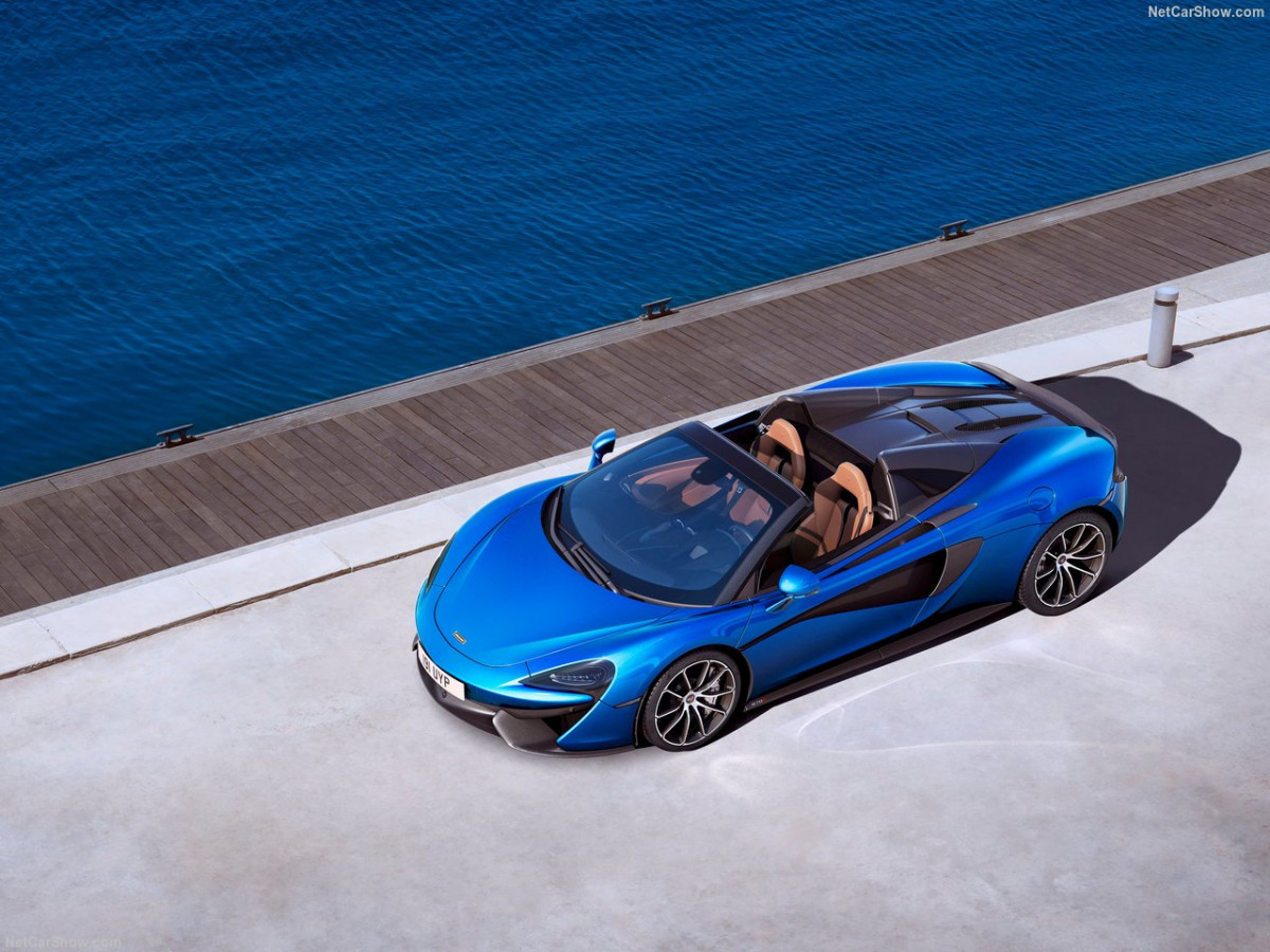 McLaren 570S Spider фото 184857