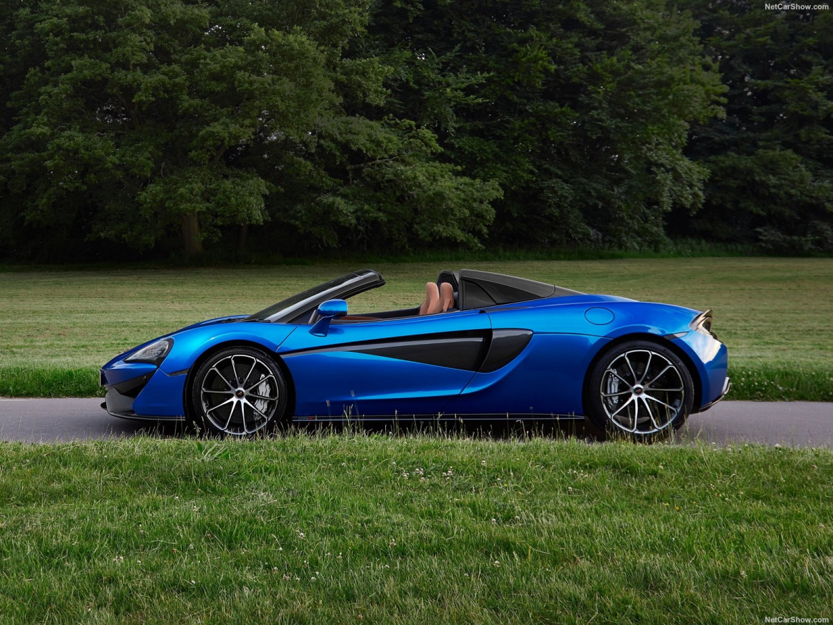 McLaren 570S Spider фото 186008