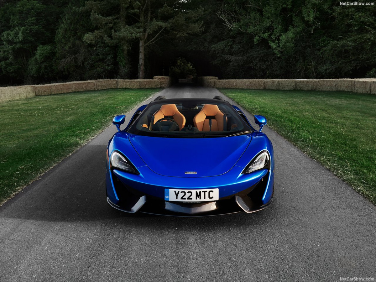 McLaren 570S Spider фото 186023