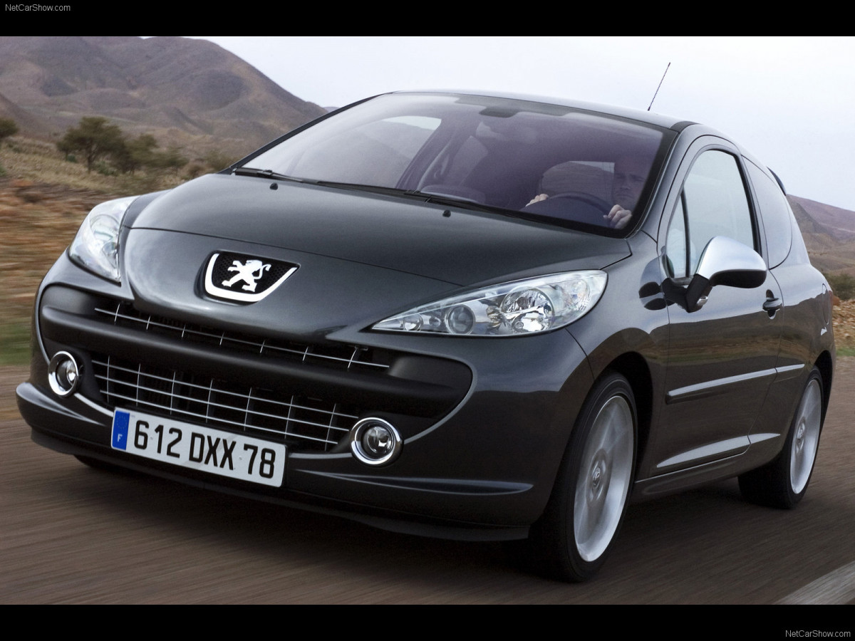 Peugeot 207 RC фото 41733