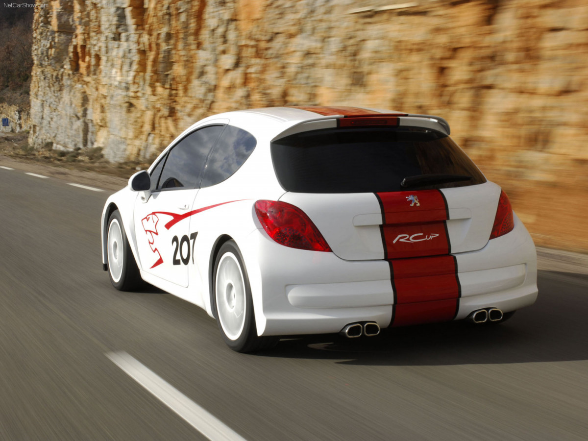 Peugeot 207 RCup фото 31997