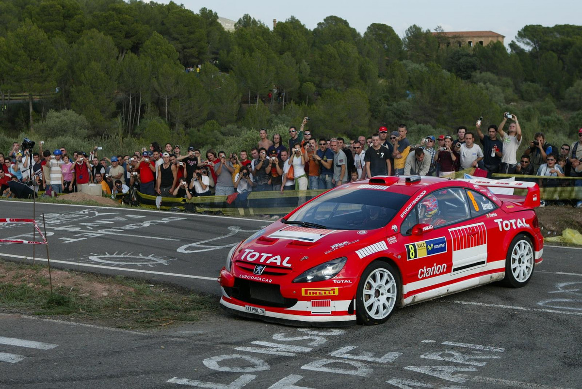 Peugeot 307 WRC фото 30550