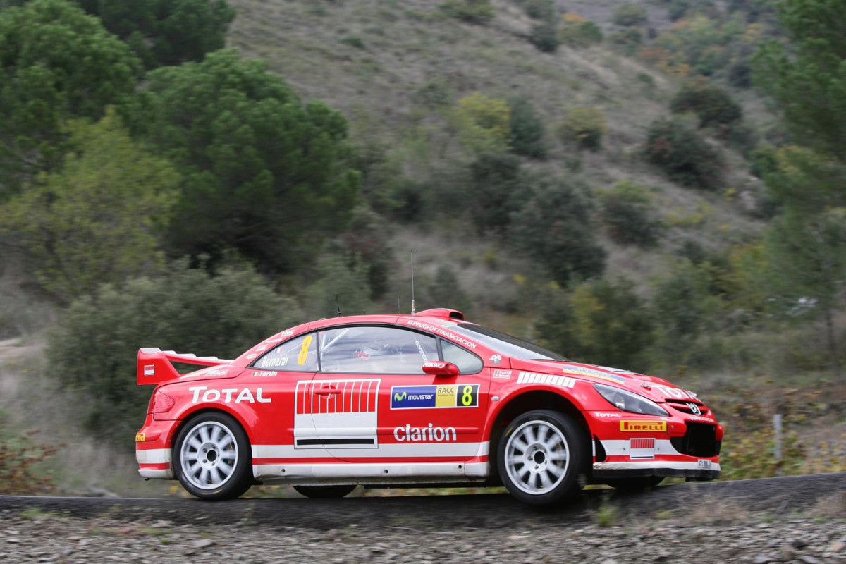 Peugeot 307 WRC фото 30552