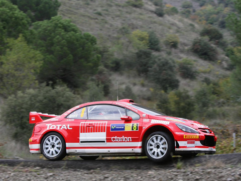 Peugeot 307 WRC фото