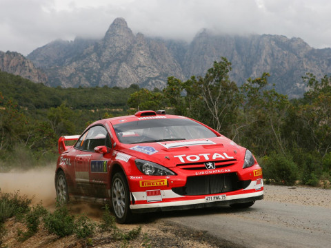 Peugeot 307 WRC фото