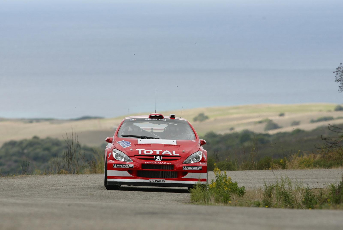 Peugeot 307 WRC фото 30560