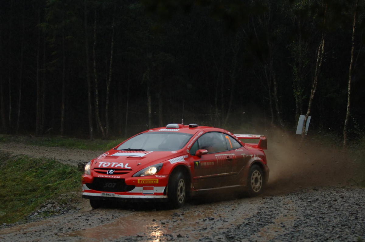 Peugeot 307 WRC фото 30565