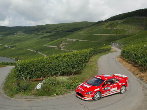 Peugeot 307 WRC фото