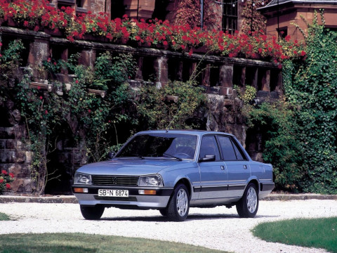 Peugeot 505 фото