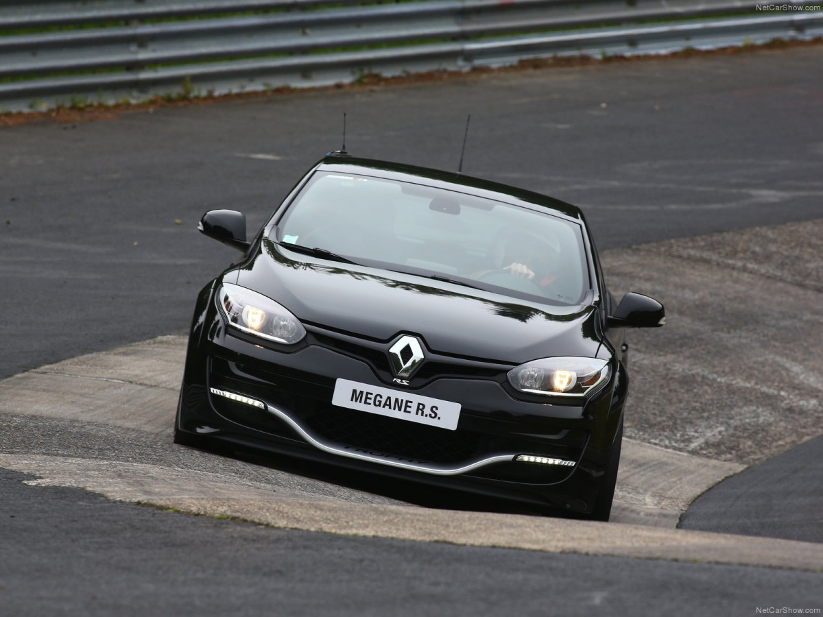 Renault Megane RS Trophy фото 129528