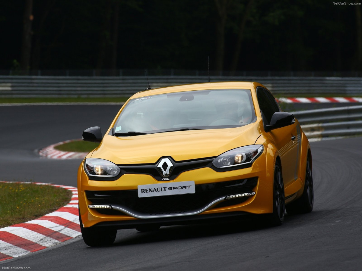 Renault Megane RS Trophy фото 129541