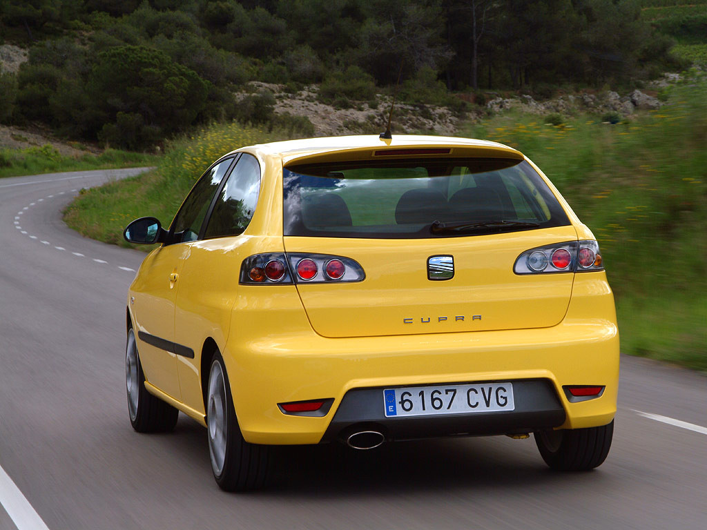 Seat Ibiza Cupra фото 16061