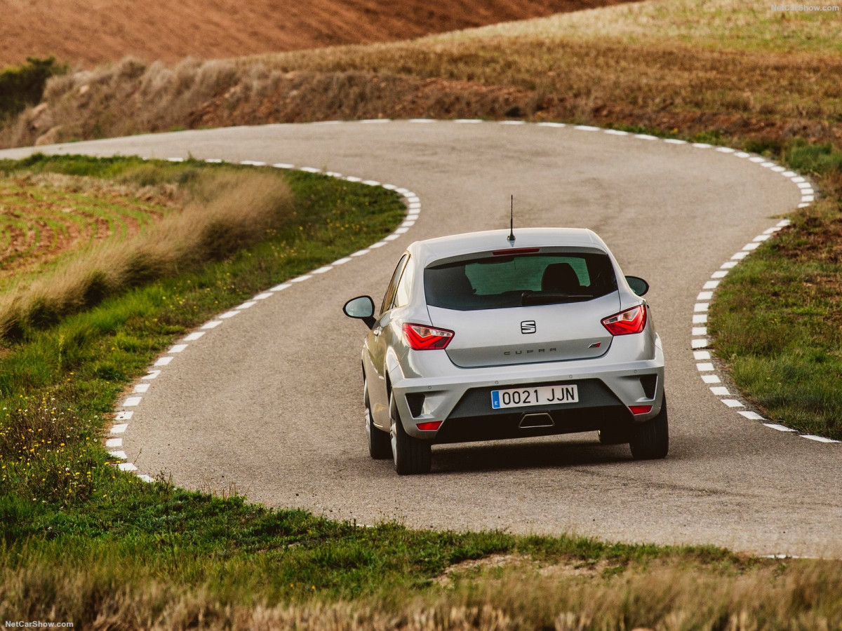 Seat Ibiza Cupra фото 161518