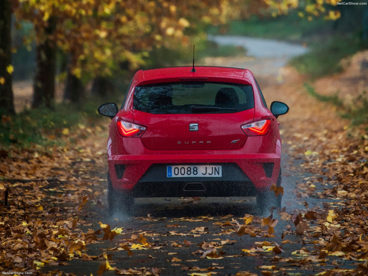 Seat Ibiza Cupra фото 161520