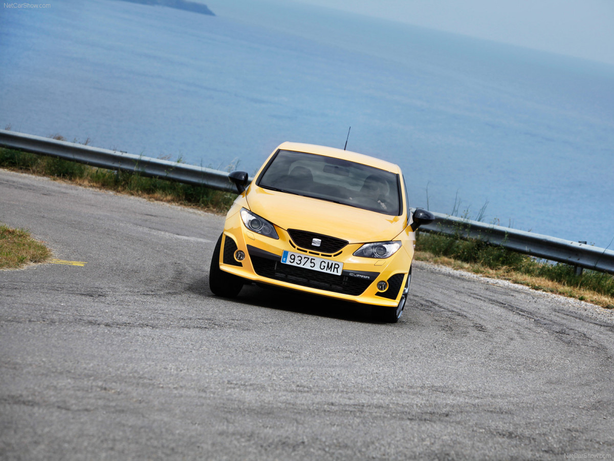 Seat Ibiza Cupra фото 67545