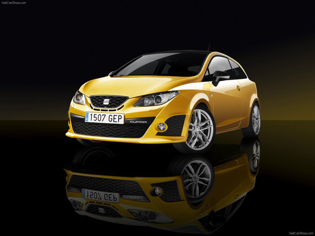 Seat Ibiza Cupra фото 67547