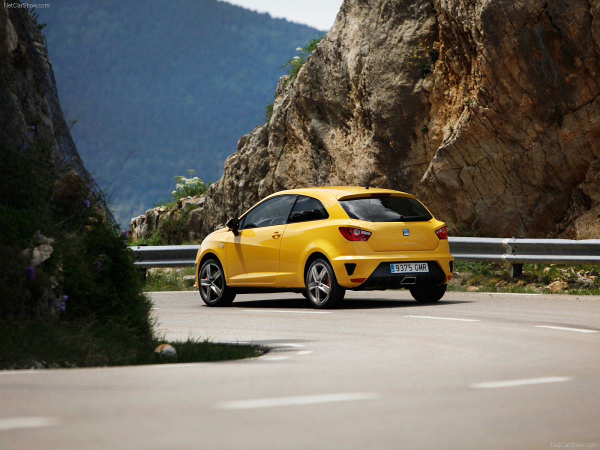 Seat Ibiza Cupra фото 67561