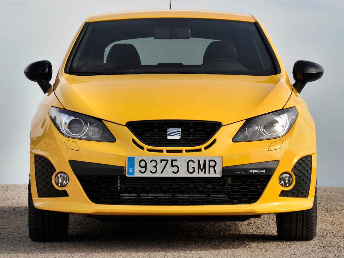 Seat Ibiza Cupra фото 67572