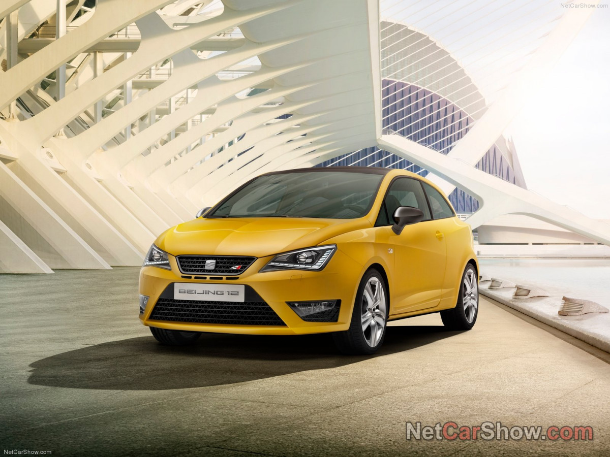 Seat Ibiza Cupra фото 94537