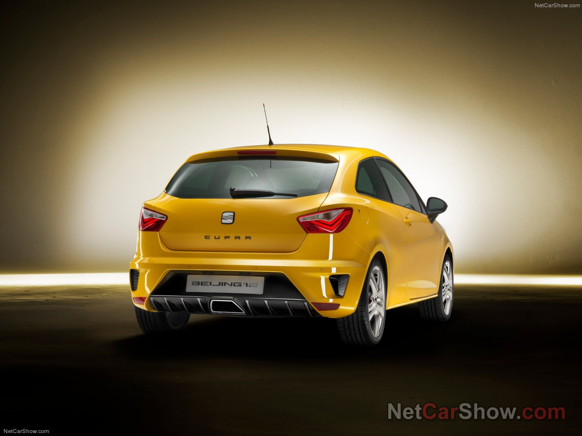 Seat Ibiza Cupra фото 94540