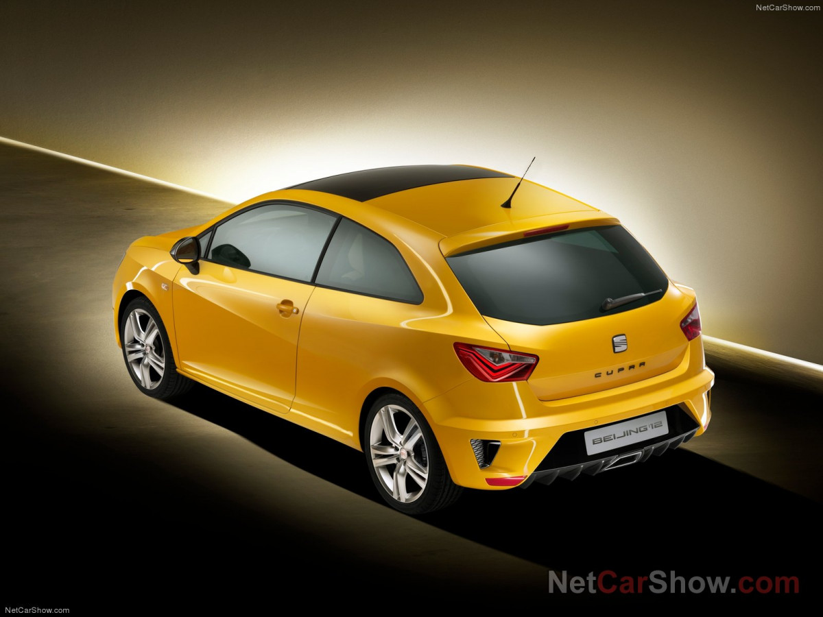 Seat Ibiza Cupra фото 94541