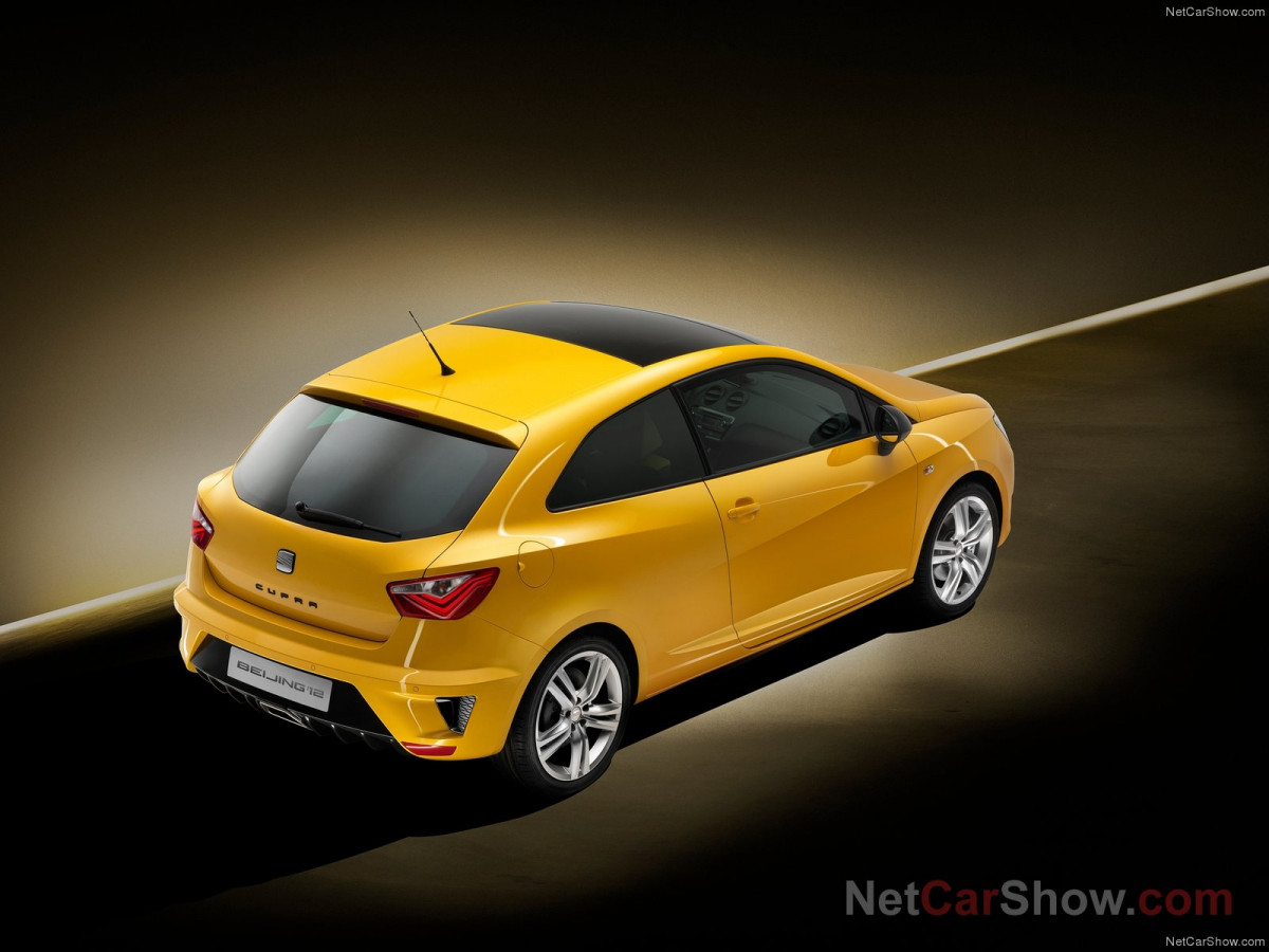 Seat Ibiza Cupra фото 94542