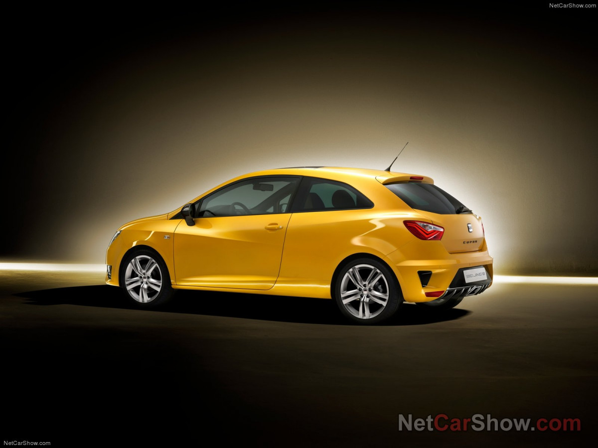 Seat Ibiza Cupra фото 94543