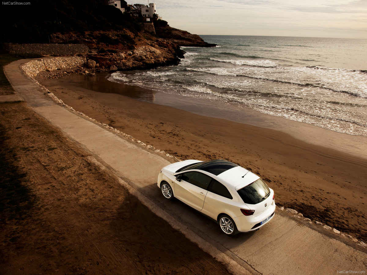 Seat Ibiza FR TDI фото 73775