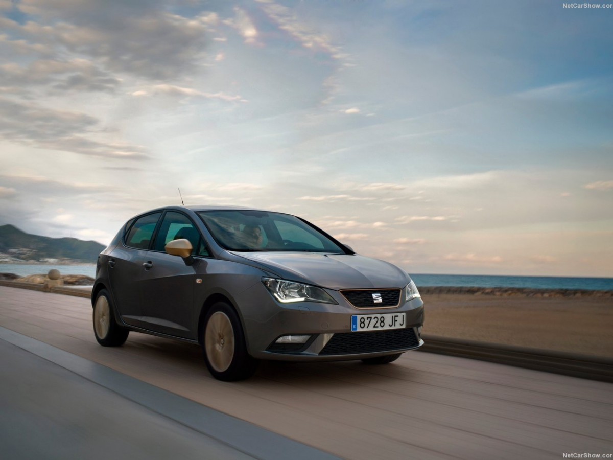 Seat Ibiza фото 149856