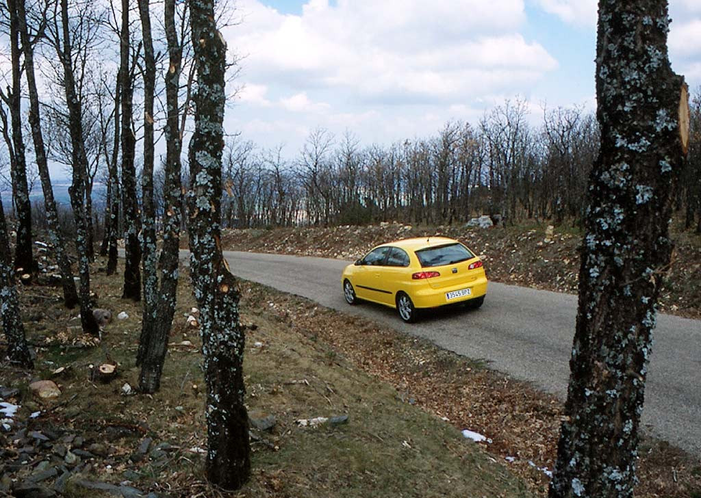 Seat Ibiza фото 16026