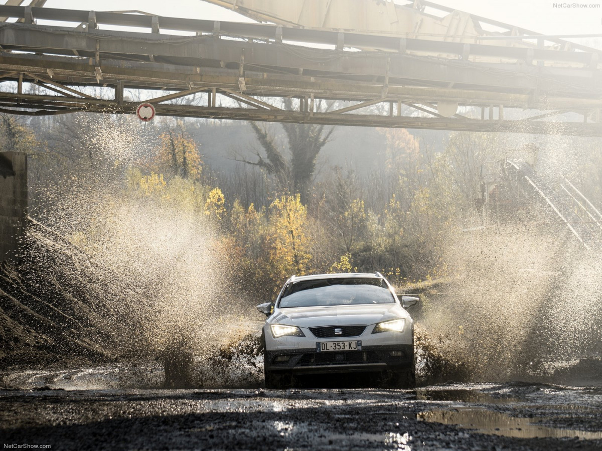 Seat Leon X-Perience фото 158023