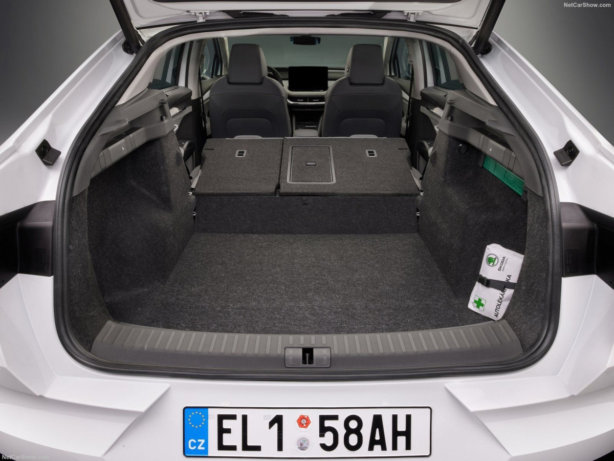 Skoda Enyaq Coupe iV фото 208478