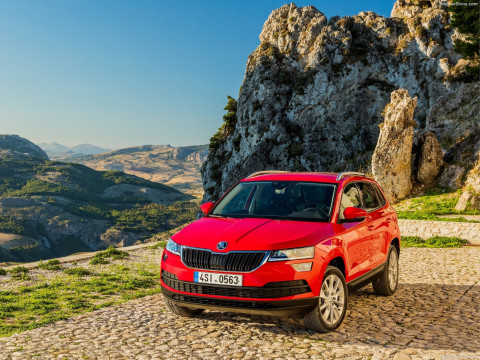 Skoda Karoq фото