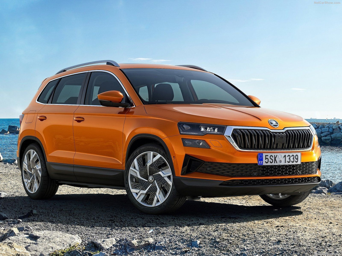 Skoda Karoq фото 209226