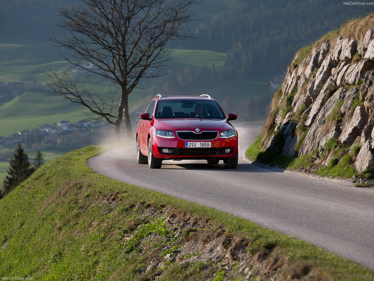 Skoda Octavia Combi фото 153442