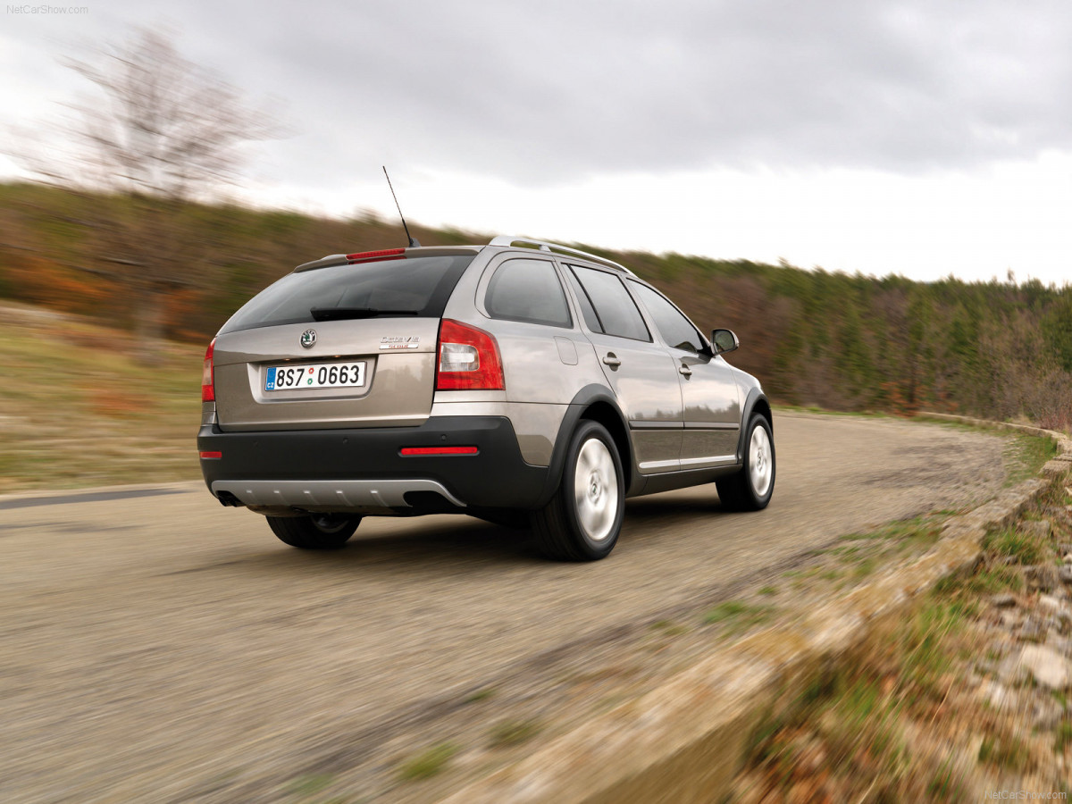 Skoda Octavia Scout фото 66203