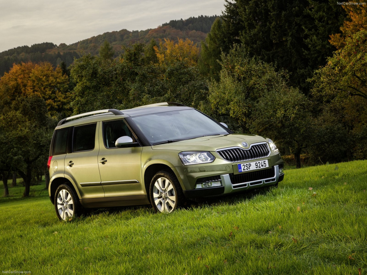 Skoda Yeti фото 156615