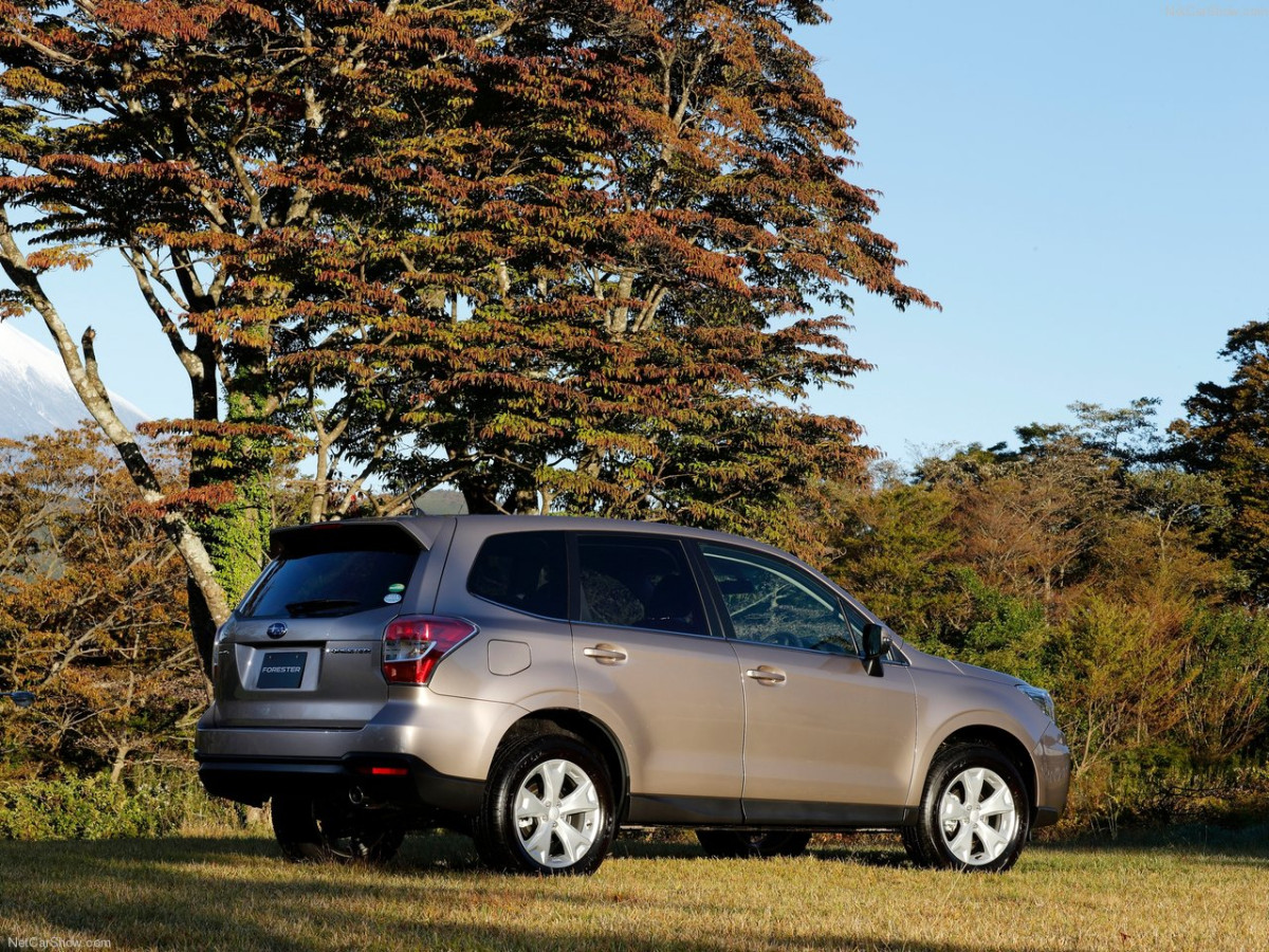 Subaru Forester фото 151910