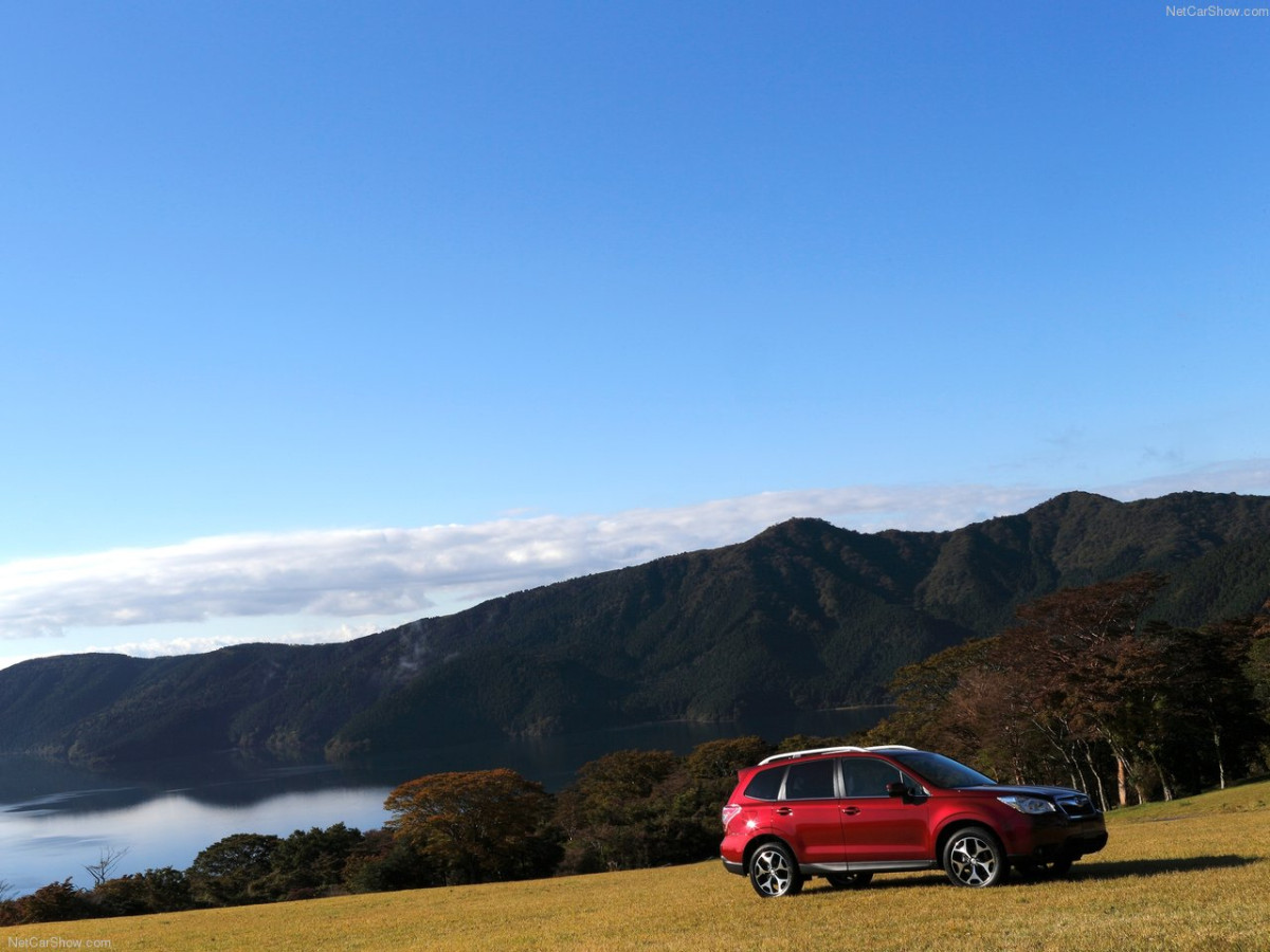 Subaru Forester фото 151917