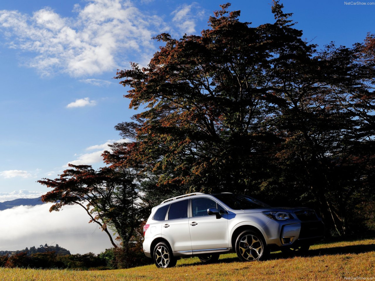 Subaru Forester фото 151918