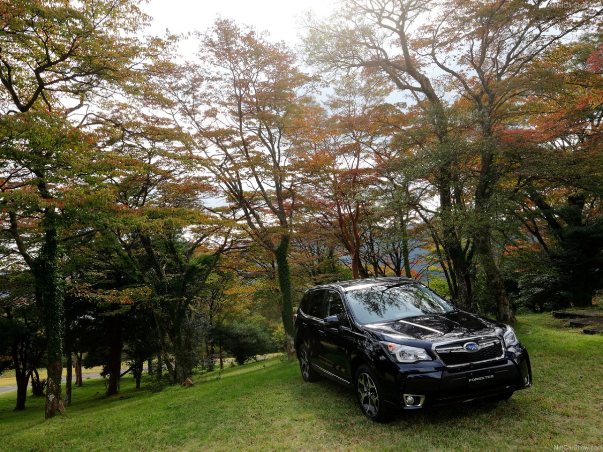 Subaru Forester фото 151922