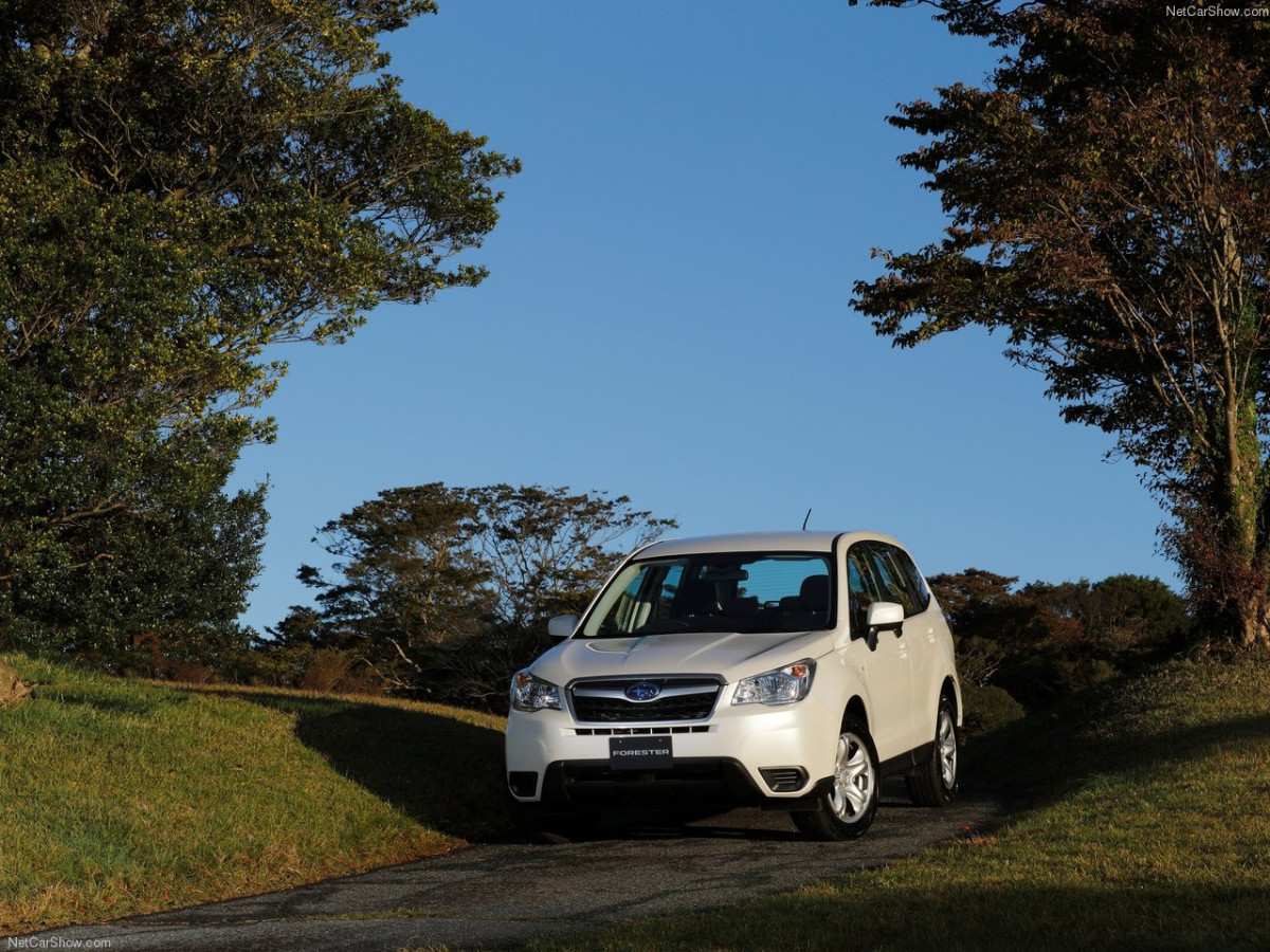 Subaru Forester фото 151925