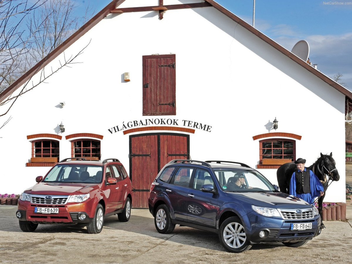 Subaru Forester фото 89480