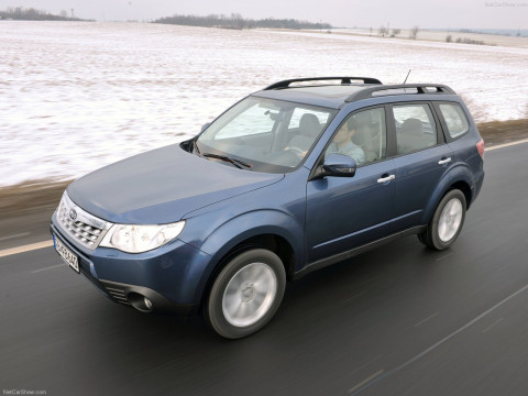 Subaru Forester фото