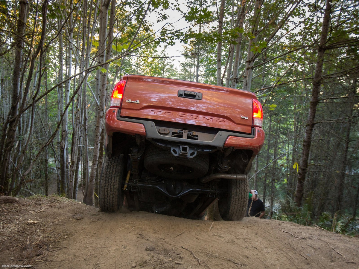 Toyota Tacoma TRD Off-Road фото 156147