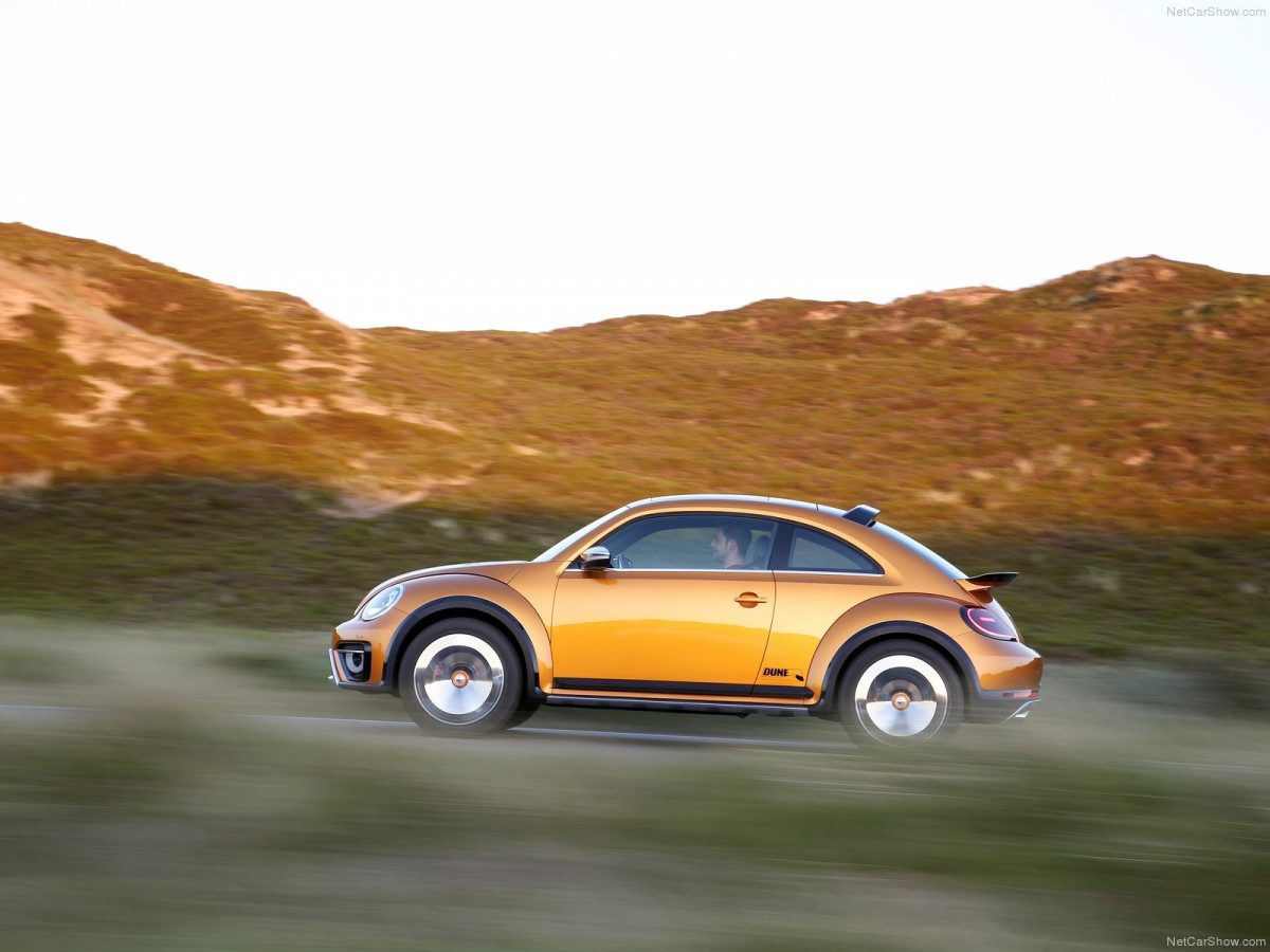 Volkswagen Beetle Dune фото 131136