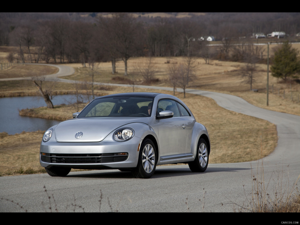 Volkswagen Beetle фото 140406