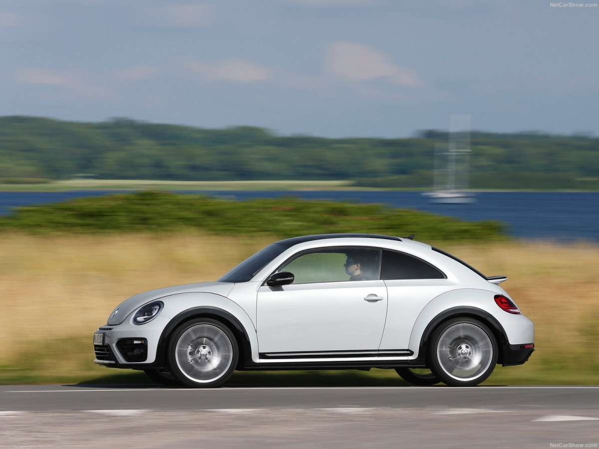 Volkswagen Beetle фото 188385