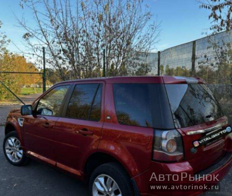 фото Freelander